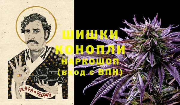 бошки Алексин