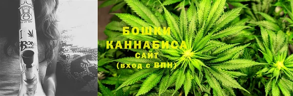 бошки Алексин