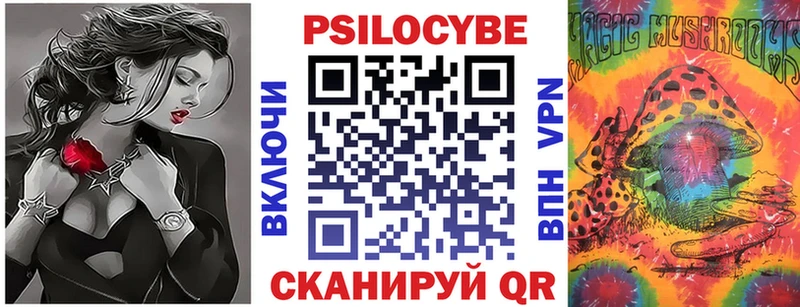 Псилоцибиновые грибы Cubensis  Салехард 
